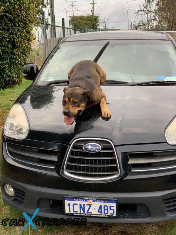 cash for subaru